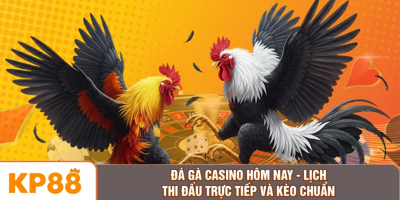 Đá Gà Casino Hôm Nay - Lịch Thi Đấu Trực Tiếp Và Kèo Chuẩn