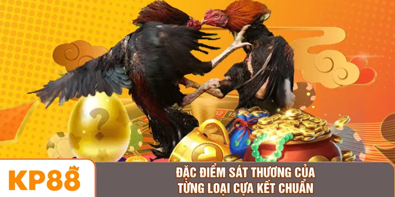 Đặc điểm sát thương của từng loại cựa kết chuẩn