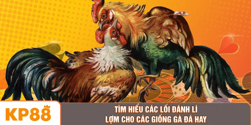 Tìm hiểu các lối đánh lì lợm cho các giống gà đá hay